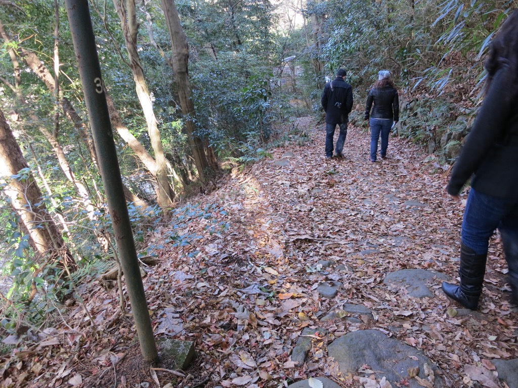 0CE0B80E-4C2E-46B4-B620-02AC28D16C57_1_105_c