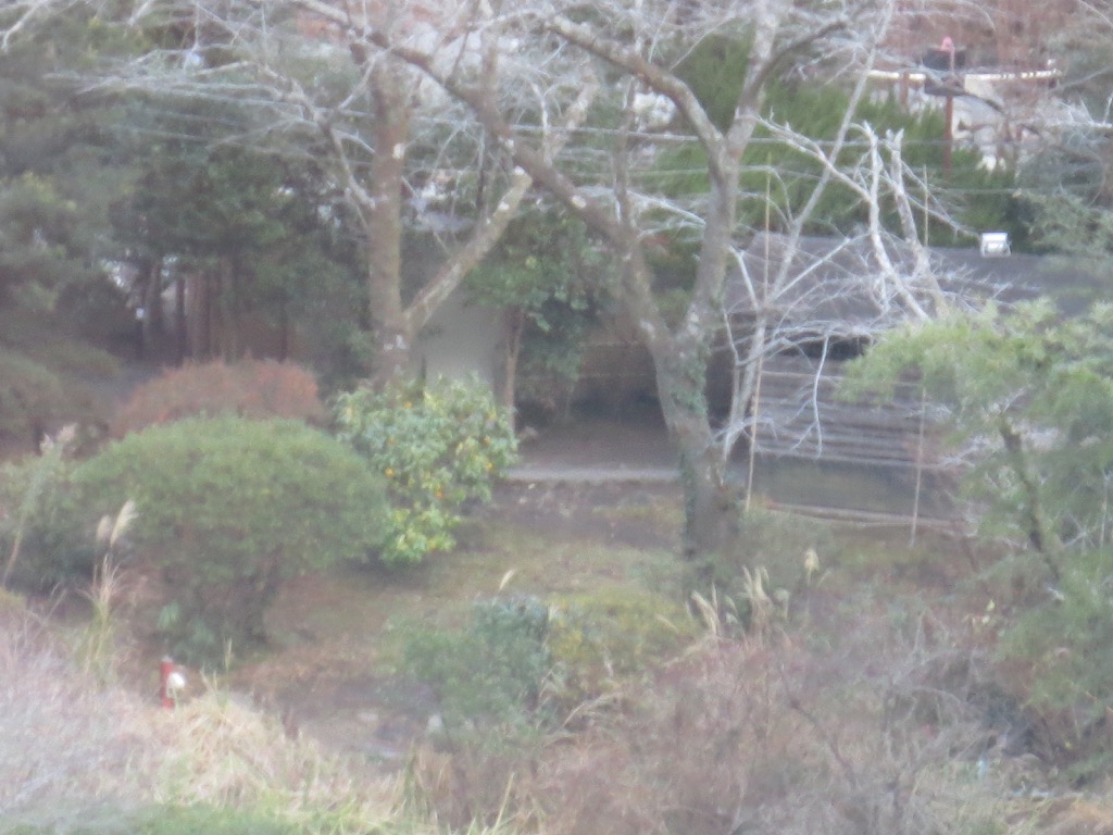 620D6661-E4DF-447F-B716-0015939D33F9_1_105_c