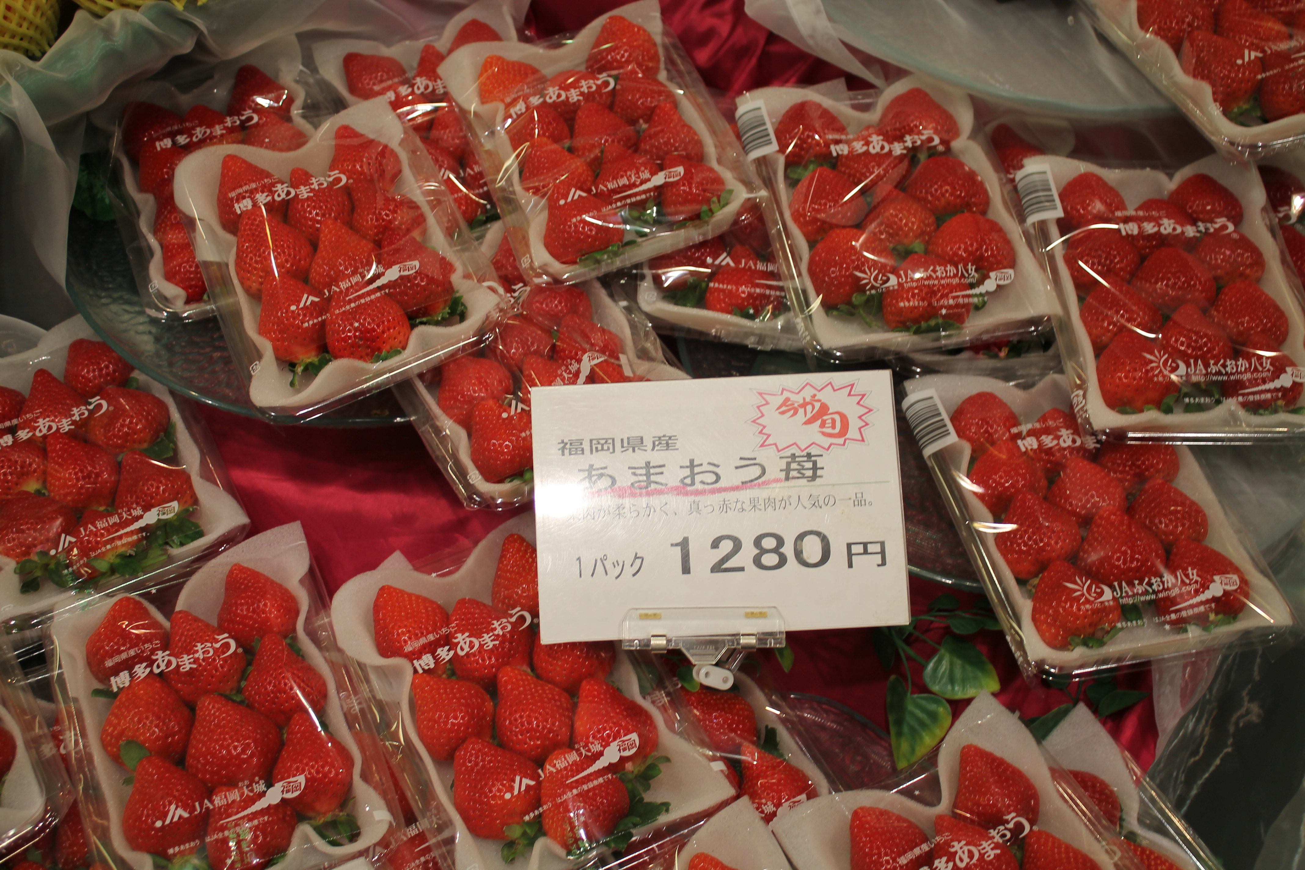 A0318540-E192-40F1-A169-4403D2A05259