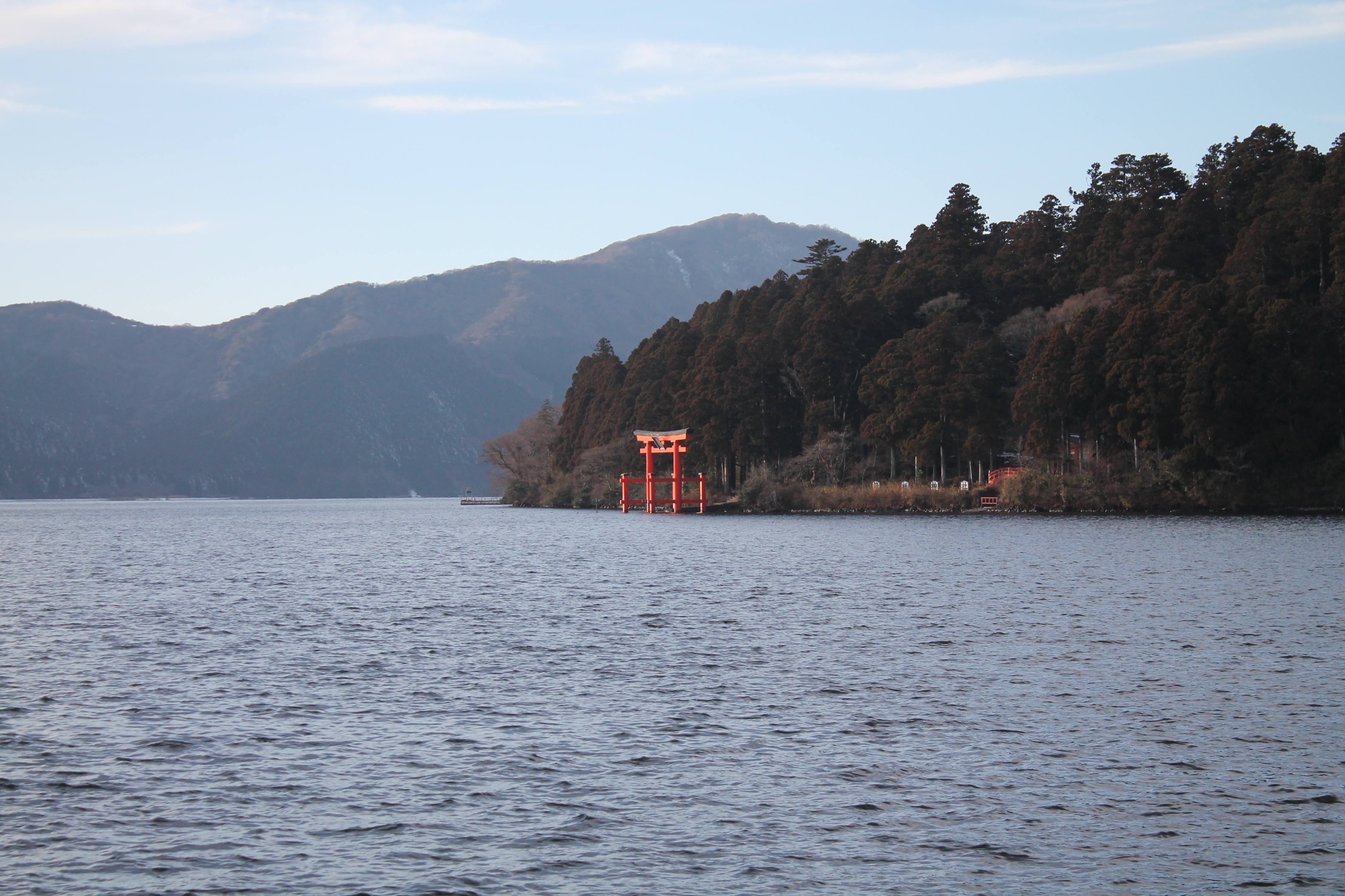 E74DCDE6-B36C-465D-9037-B3426E25D428