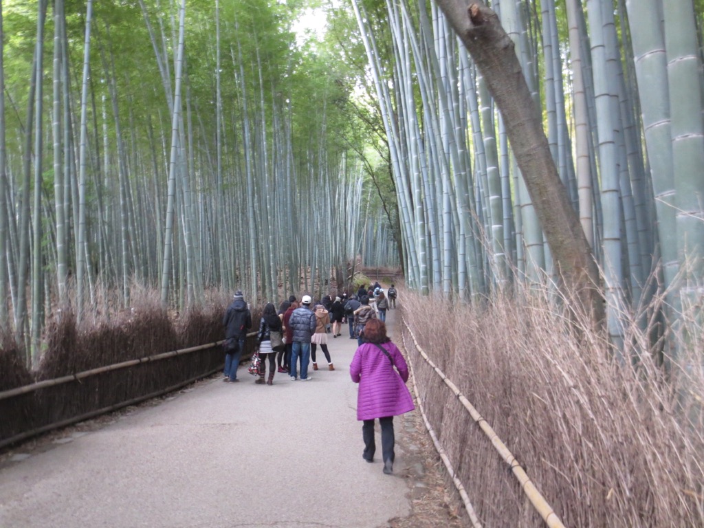 64855206-59AA-4342-9EE0-27EB8B25FC5B_1_105_c