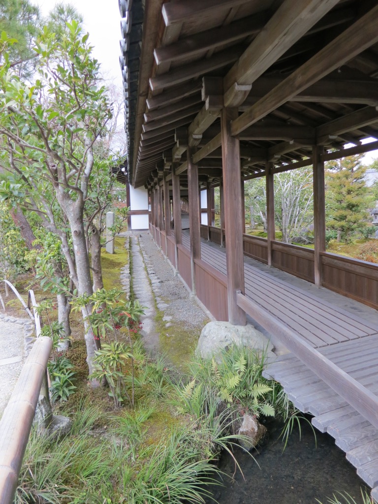 F213F6D8-2330-42ED-BB1D-E36D0C52E35D_1_105_c