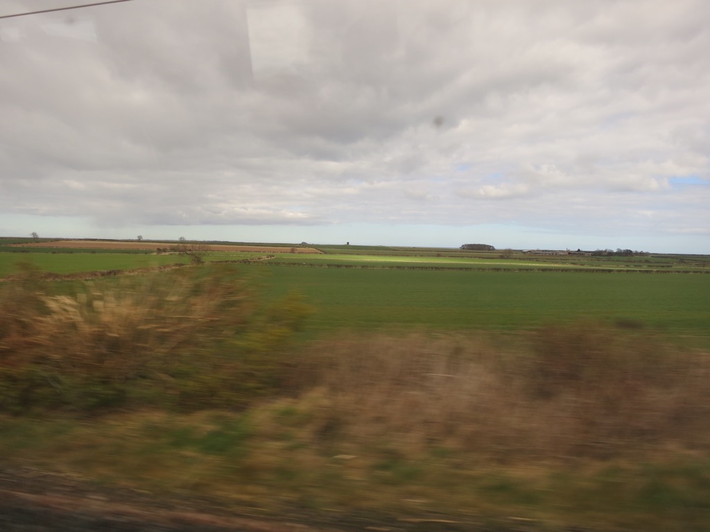 458D2B21-7045-4F53-9706-64E84067F333_1_105_c