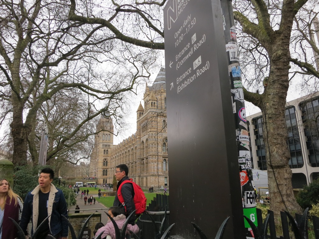 6503842A-08FB-4FA1-A2ED-840E6D47D26D_1_105_c