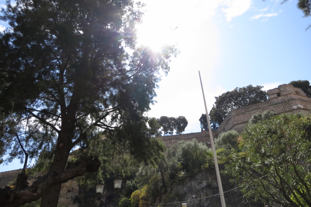 05AA9F2C-897D-4EDC-999D-5FDE74B6FB40_1_105_c