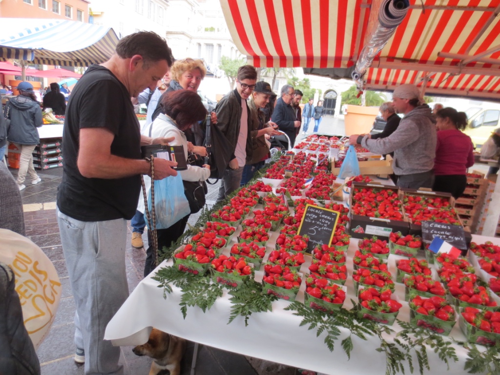 955122DD-E915-466B-B02E-71E9D6A240E0_1_105_c