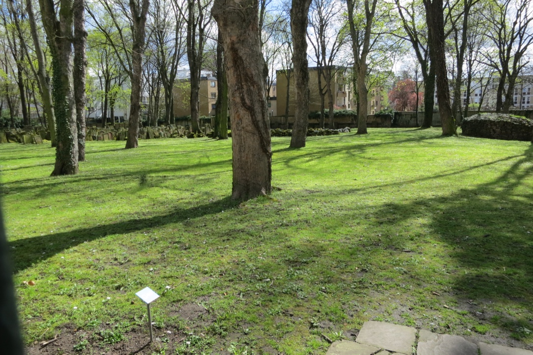 B448FC68-2BA2-4ABA-B84F-08705D36A7C2_1_105_c