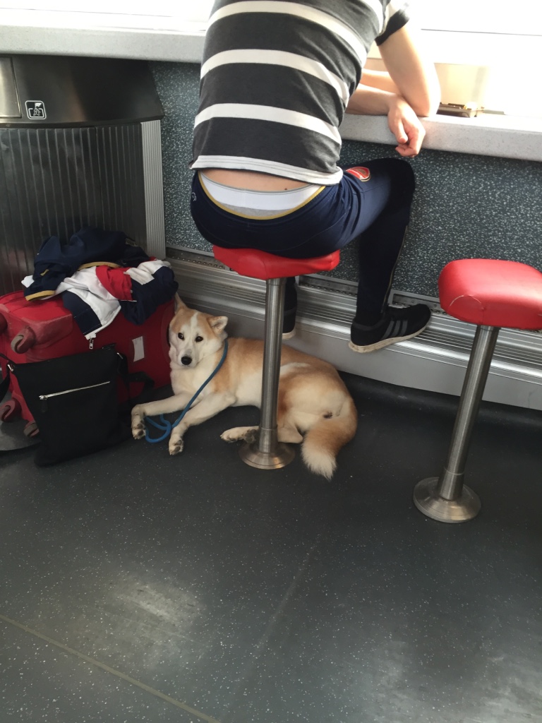 B76EE22D-4169-40BB-887F-F350666ECA64_1_105_c