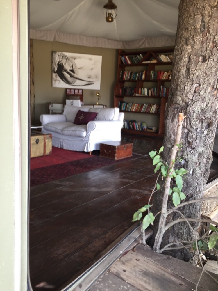 unadjustednonraw_thumb_137e8