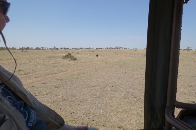 unadjustednonraw_thumb_138d9