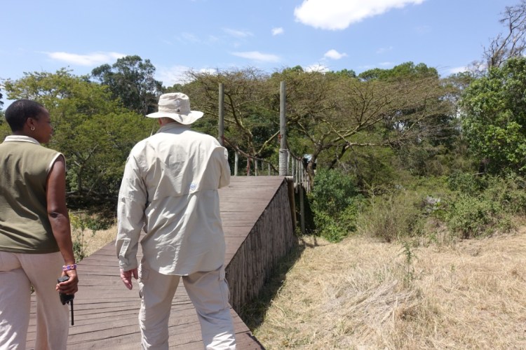 unadjustednonraw_thumb_138e4