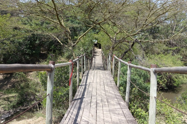 unadjustednonraw_thumb_138e5