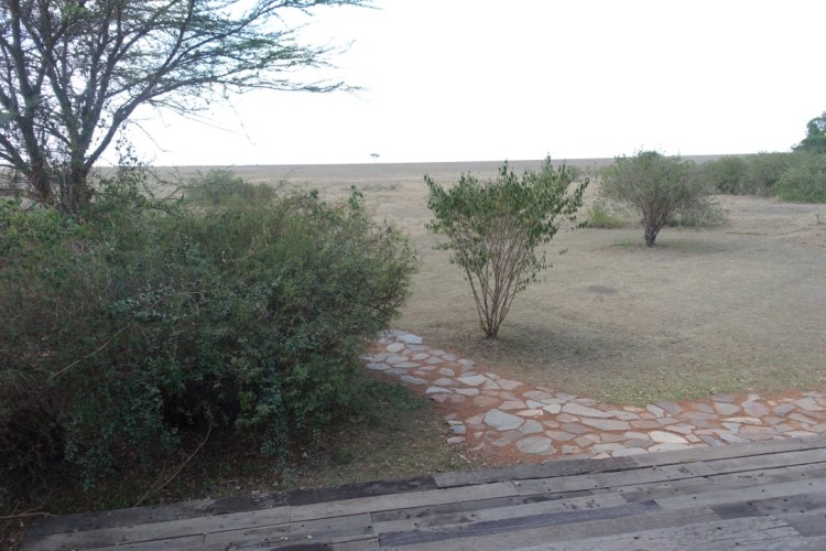 unadjustednonraw_thumb_138ed