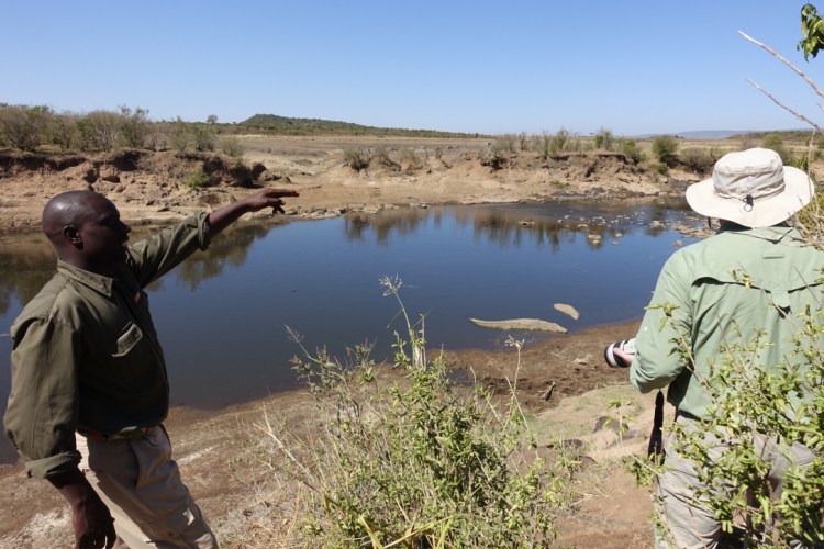 unadjustednonraw_thumb_13987