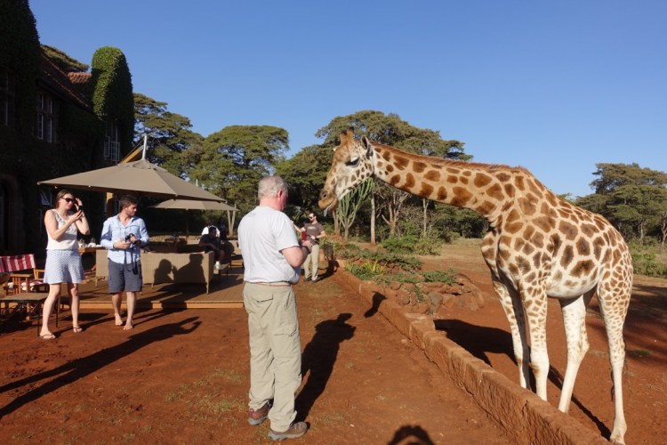 unadjustednonraw_thumb_139f9