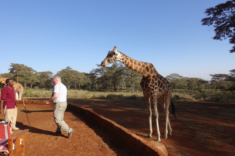 unadjustednonraw_thumb_139fc