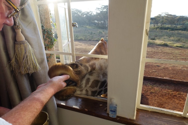 unadjustednonraw_thumb_13a1a