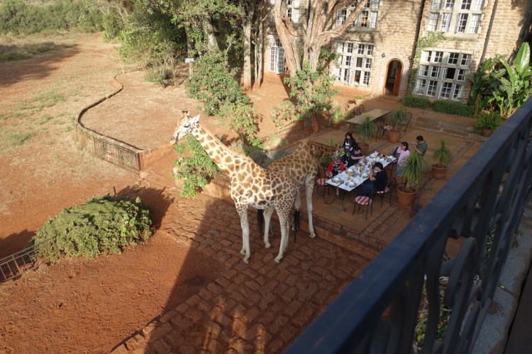 unadjustednonraw_thumb_13a1f