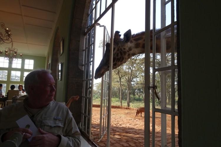 unadjustednonraw_thumb_13a35