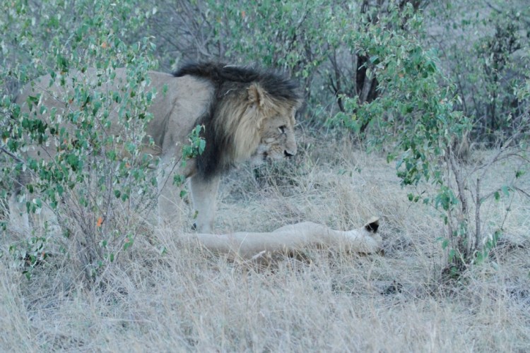 unadjustednonraw_thumb_13aaf