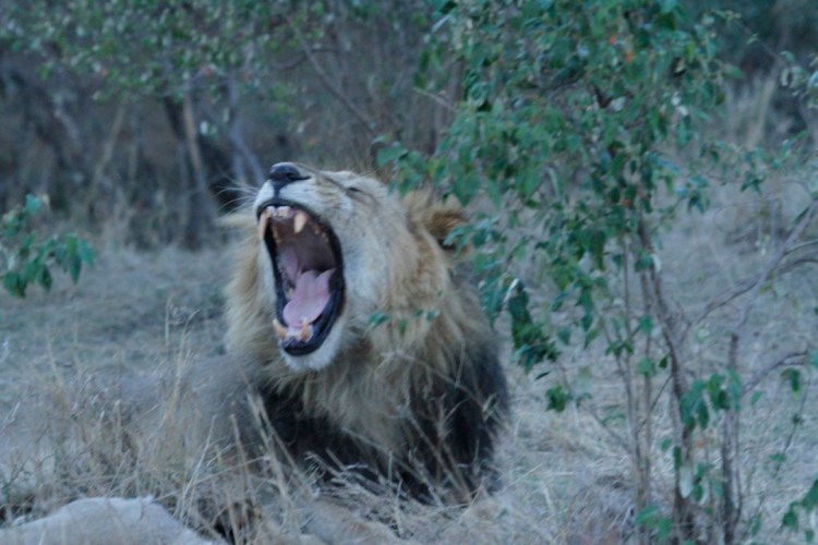 unadjustednonraw_thumb_13ab8