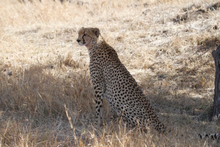 unadjustednonraw_thumb_13b03