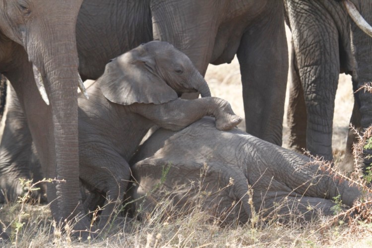 unadjustednonraw_thumb_13b16