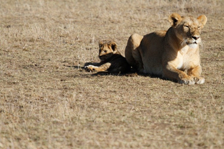 unadjustednonraw_thumb_13be2