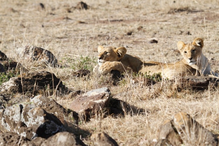 unadjustednonraw_thumb_13be6