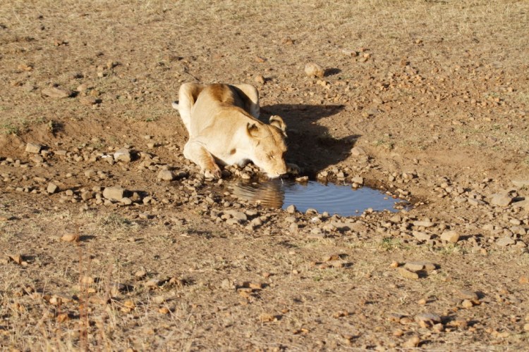 unadjustednonraw_thumb_13cc5