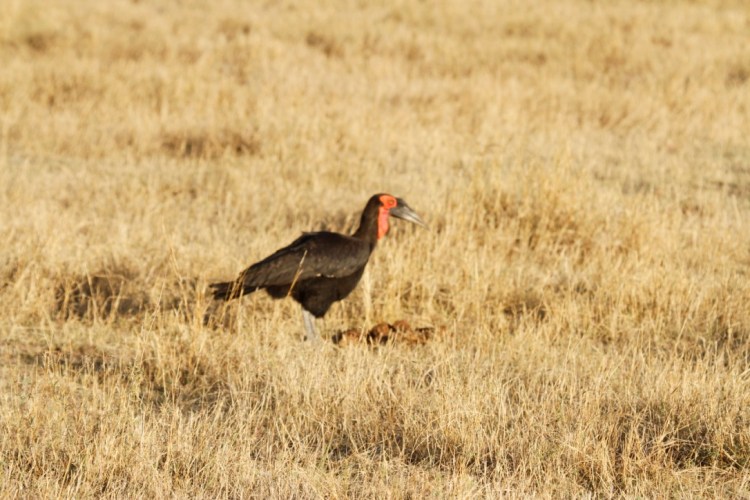 unadjustednonraw_thumb_13cc8