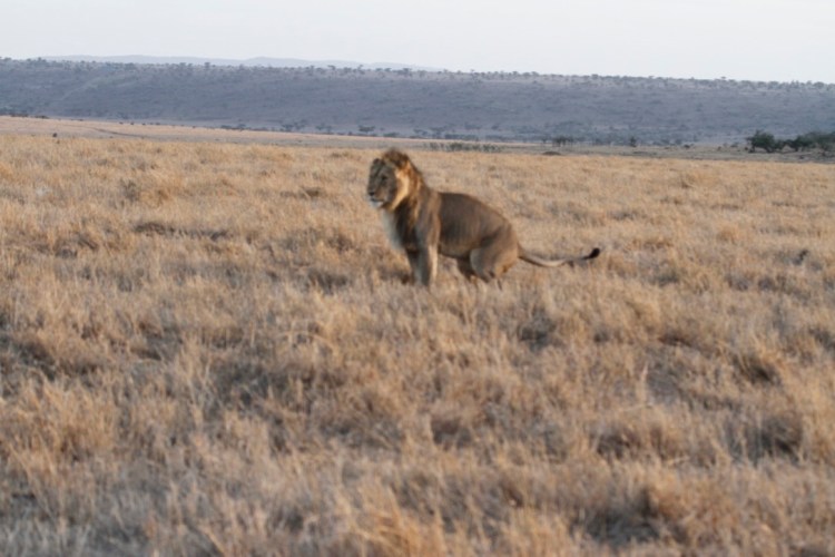 unadjustednonraw_thumb_13ce3