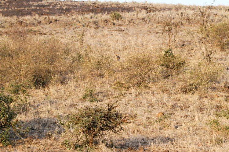 unadjustednonraw_thumb_13cf0