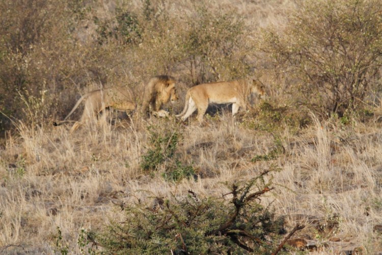 unadjustednonraw_thumb_13cf6