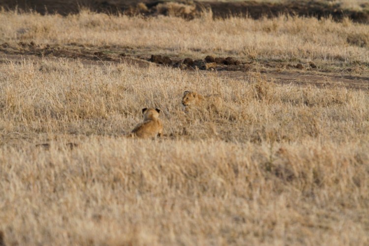 unadjustednonraw_thumb_13cfa