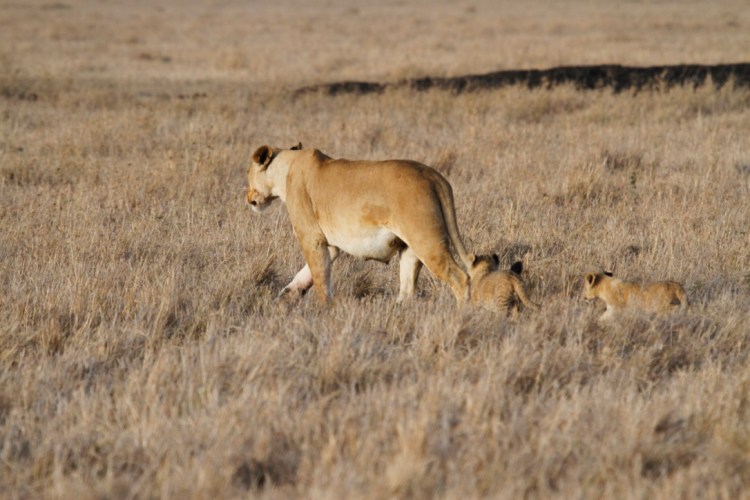 unadjustednonraw_thumb_13d07