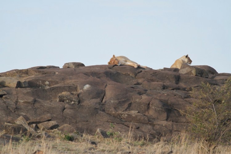 unadjustednonraw_thumb_13d15