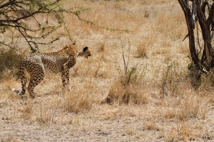 unadjustednonraw_thumb_13d6b