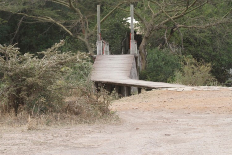 unadjustednonraw_thumb_13d90