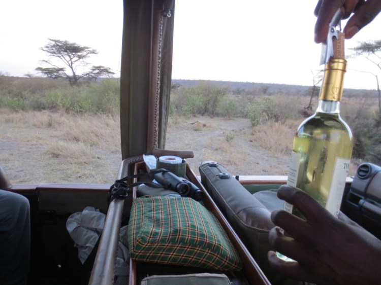 unadjustednonraw_thumb_13e34