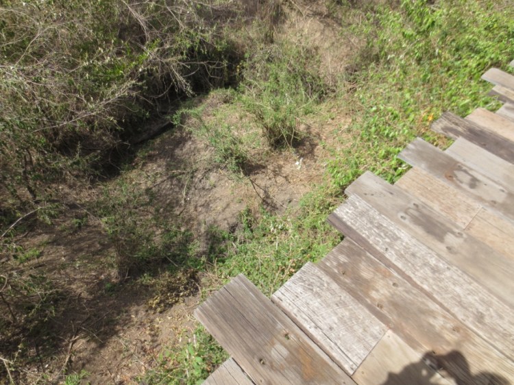 unadjustednonraw_thumb_13e4d